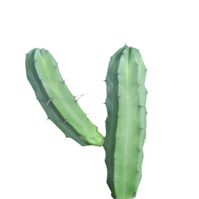 187