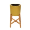 AMARILLO CON PEDESTAL M 43CLA