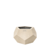 PEONIA 2 BEIGE