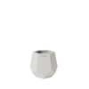 TULIPAN 1 BLANCO