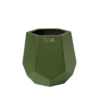 TULIPAN 4 VERDE